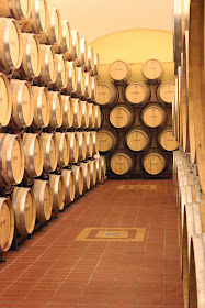 Wine cellar of Cesari winery