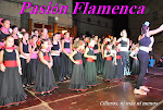 PASIÓN FLAMENCA