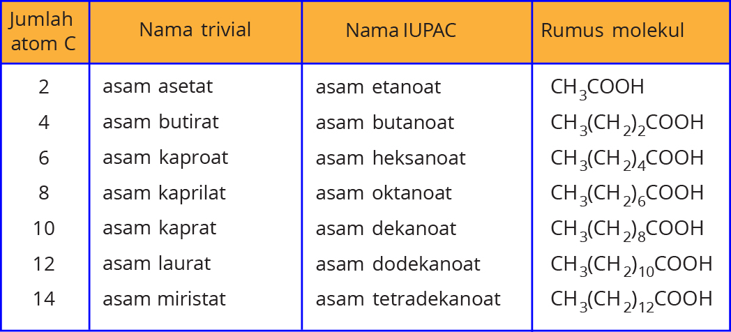 Apa Perbedaan Lemak dan Minyak? - myrightspot.com