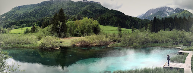 lac de Zelenci Slovénie