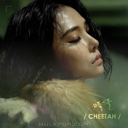 CHEETAH – Stagger – Single