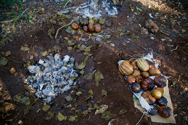 calabaza cooked in pibil, aldea maya, coba, Yucatan, Mexico