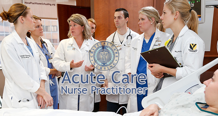 acute care nurse practitioner