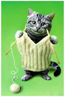 Knitting Cat