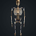 Find the bones of your homes this Halloween // .@busterandpunch