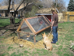 flight so fancy chicken coop 1