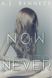 Now or Never - Erotic Romance Novels