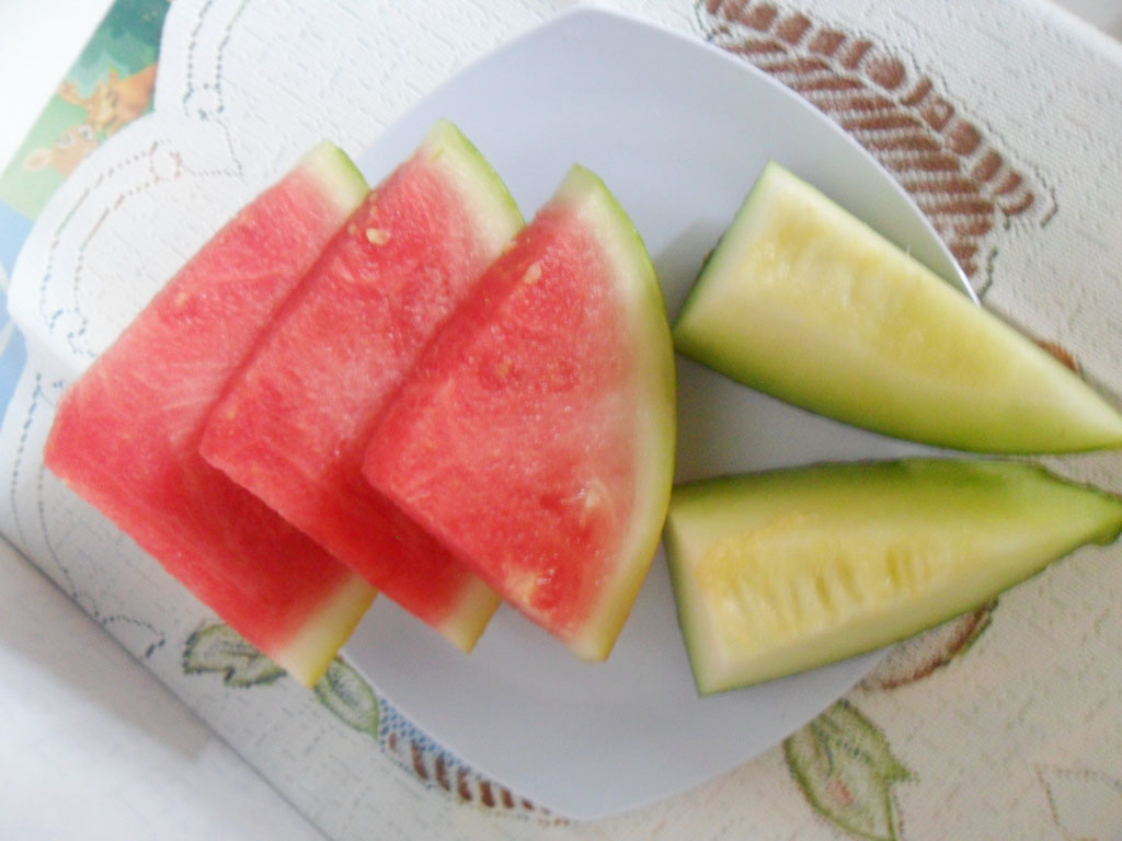 Image result for melon dan semangka