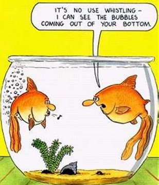 funny+fartfish.jpg