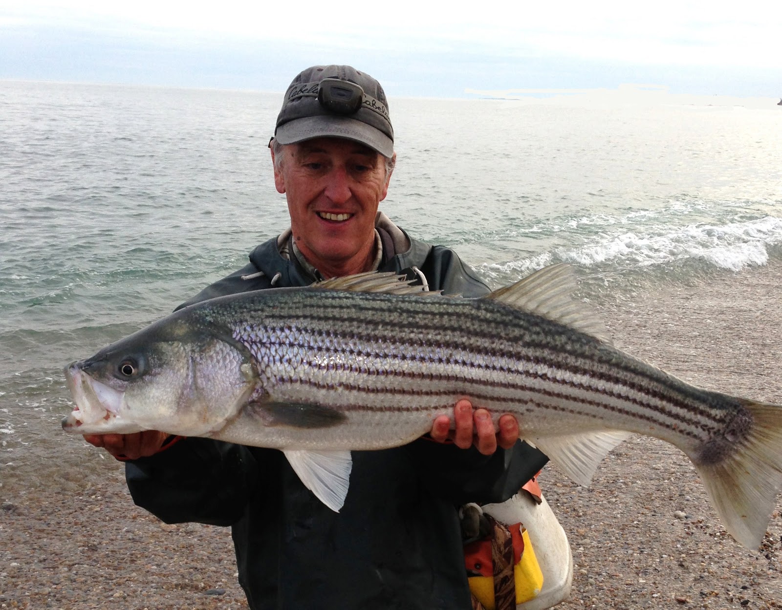 Rhode Island Striped Bass April 2013