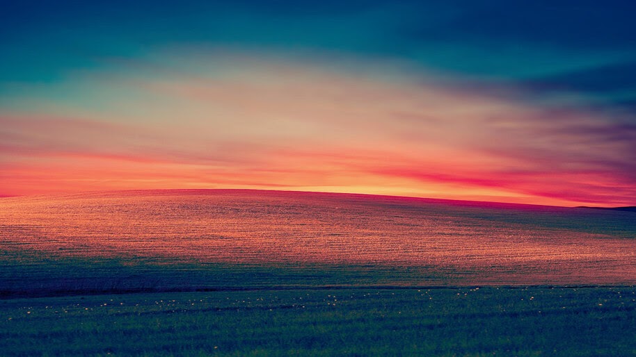 Sunset, Grassland, Landscape, Scenery, 4K, #6.934