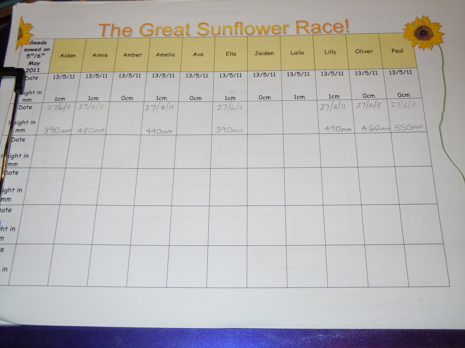 The Great Sunflower Race! Oakley Childcare