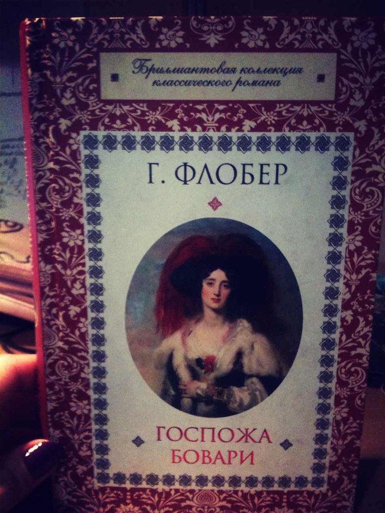 Флобер содержание госпожа бовари. Гюстав флобер &quot;госпожа бовари&quot;. гюстав флобер воспитание чувств 1989. госпожа бовари портрет. гюстав флобер - госпожа бовари аудиокнига.