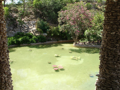 Scouting San Antonio, TX: Sunken Gardens - Japanese Tea Gardens