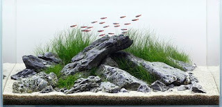 200 Referensi Desain Dan Model Aquascape Berdasarkan Tema https://www.faktapopuler.com/2018/12/200-referensi-desain-dan-model.html