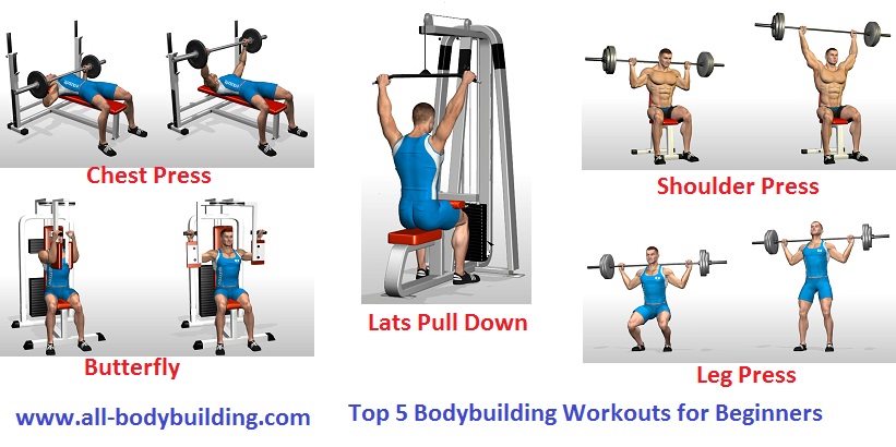 Top 5 Bodybuilding Workouts for Beginners - Bodydulding