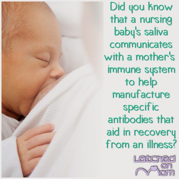 Latched On Mom 5 Fascinating Breastfeeding Facts