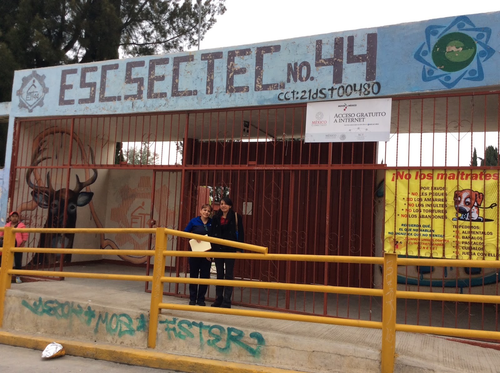 La Organización Escolar Contexto Y Texto De Actuación