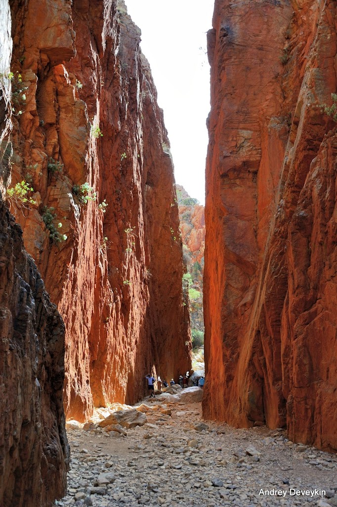 Стандли Часм (Standley Chasm)