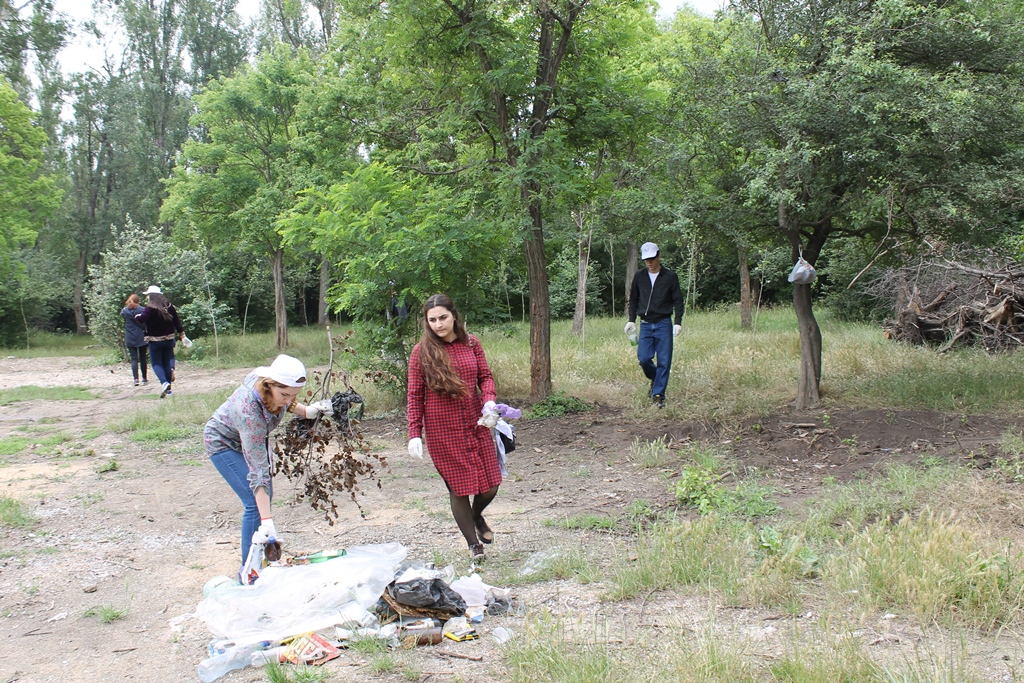 самурский лиановый лес в дагестане. эльтавский лес проект. эльтавский лес махачкала. парк имени расула гамзатова в эльтавский лес. эльтавский лес махачкала.