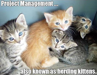 Funny Image of Cats Doing Project Management 