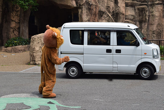 Japanese Zoo Performed A Lion Escape, And The Real Lions’ Reaction Was Priceless