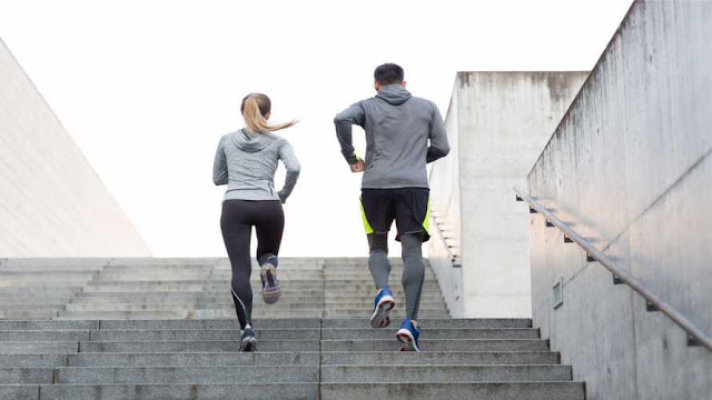 blog denise marciniak casal exercicios