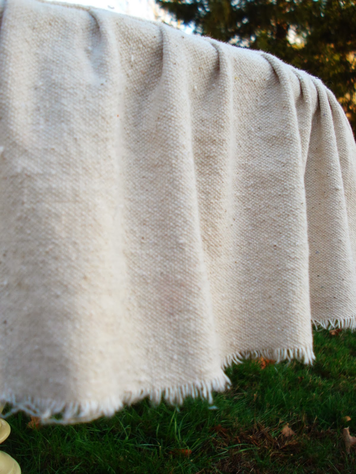 Cricket Acres Studio Winter Slipcover for a Summer Table