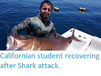 http://sciencythoughts.blogspot.co.uk/2017/12/californian-student-recovering-after.html