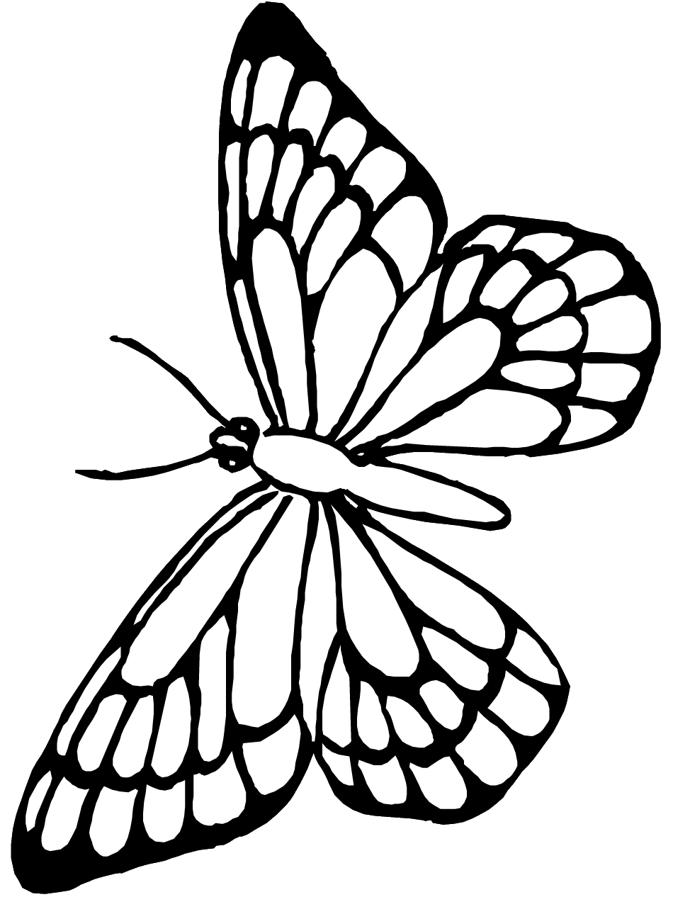 label butterfly coloring pages - photo #35