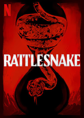 Rattlesnake 2019 Dual Audio WEBRip 480p 300Mb x264