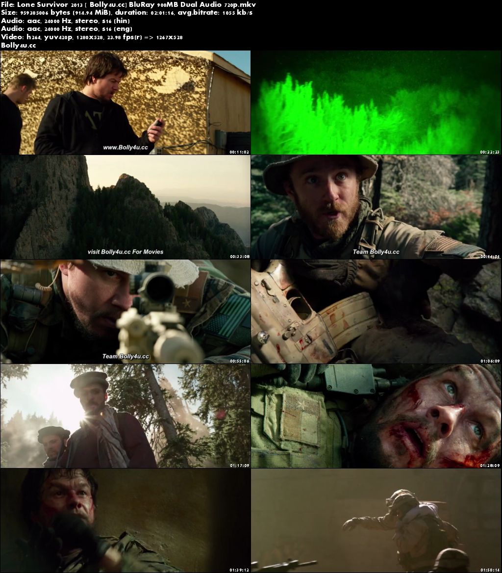 Lone Survivor 2013 BluRay 350MB Hindi Dual Audio 480p Download