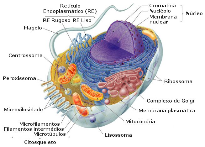 biologia icfes iologia icfes