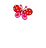 img-borboleta-desenha-cora%25C3%25A7%25C
