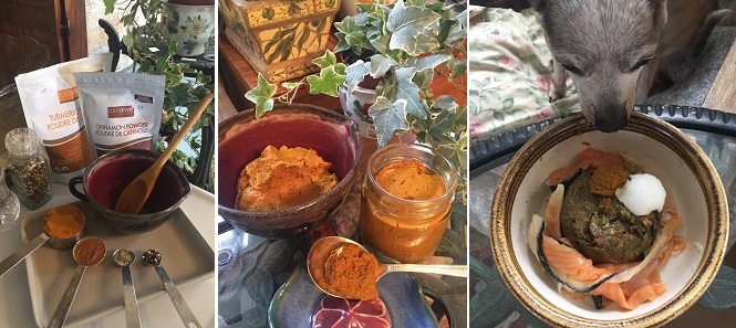 How To Make Golden Paste For Cats How To Make Golden Paste For Cats