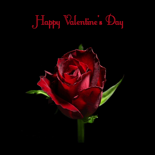gif for valentines day valentines day love images download valentine day hd images free download valentines day friends images valentine day new images download beautiful images of valentines day free download happy valentine day images lovers day images free download velentines images happy valentines day images my love new valentine day images download images of valentine day greeting cards download happy valentine day images
