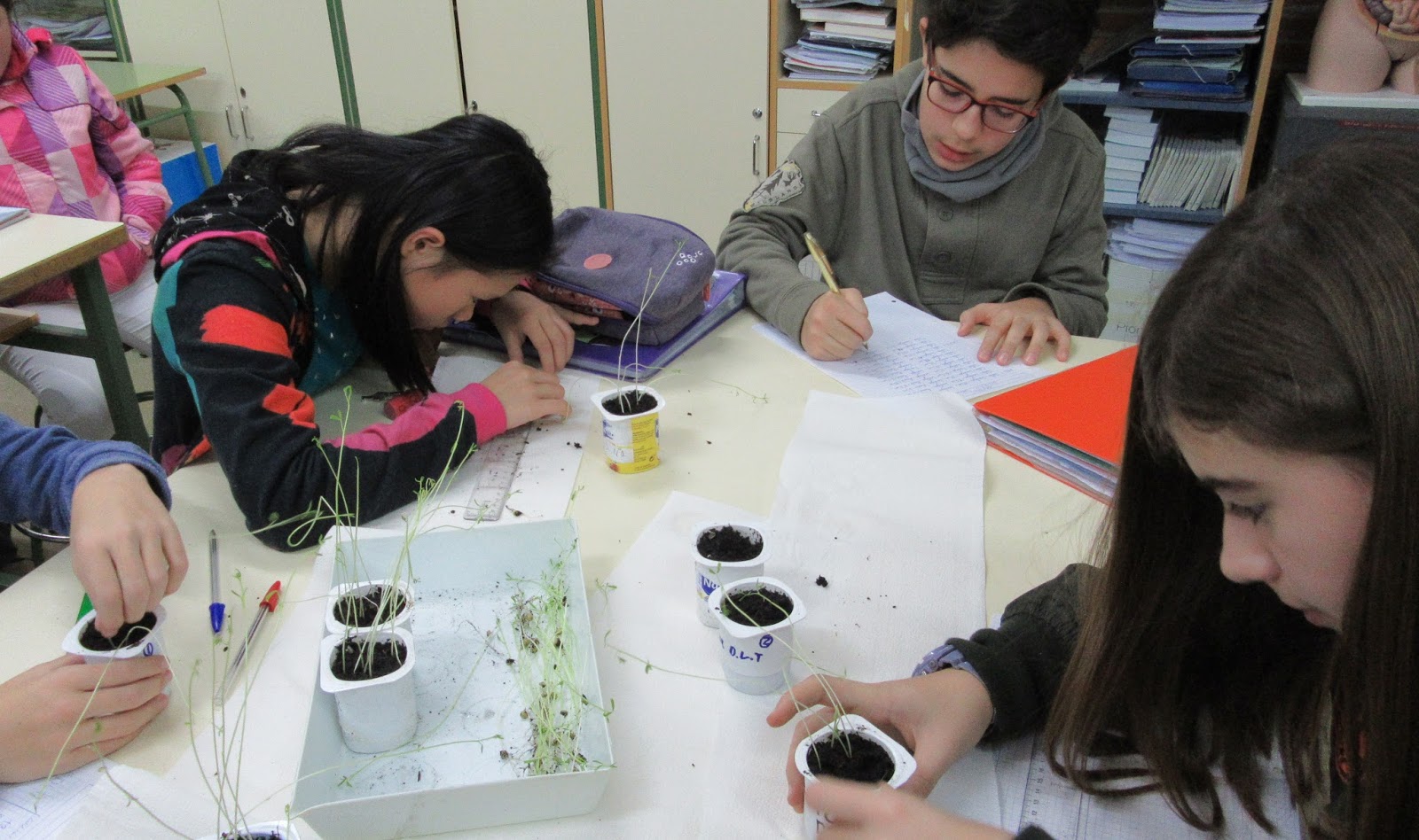 Let's talk about Science Acid rain and plants growth