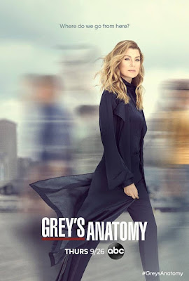 Greys Anatomy Season 16 Poster
