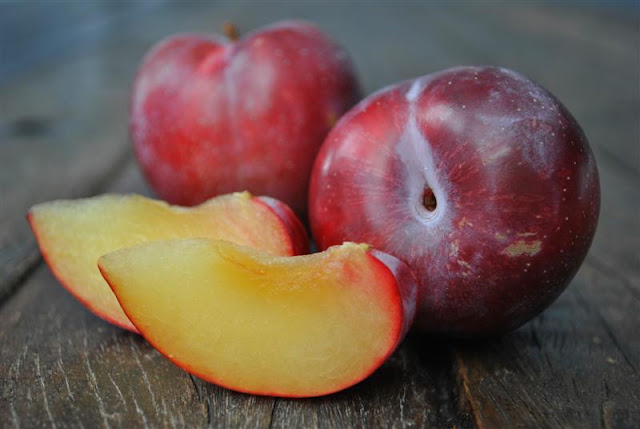 Health Benefits of Plum Fruit Health Benefits of Plum Fruit