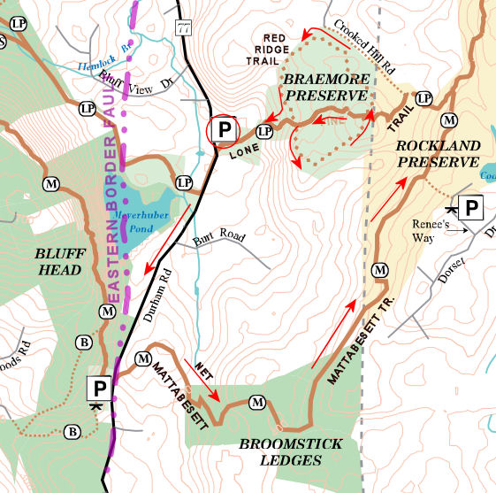 Along the NETCohos Lone Pine East Loop