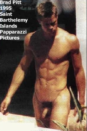 Brad pitt naked photo snatch