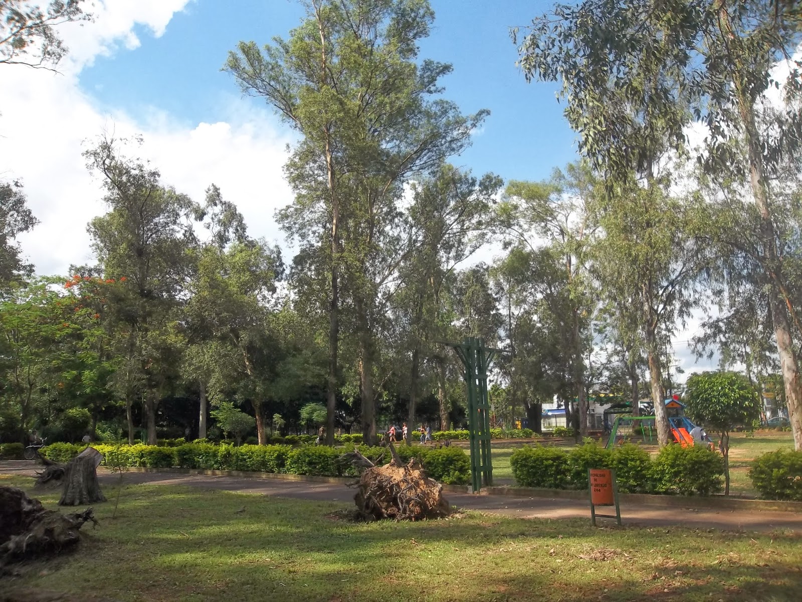 ¡ROHAYHU PARAGUAY! San Lorenzo del Campo