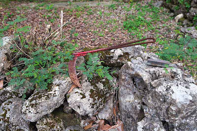 tool known as a kama lying on some rocks