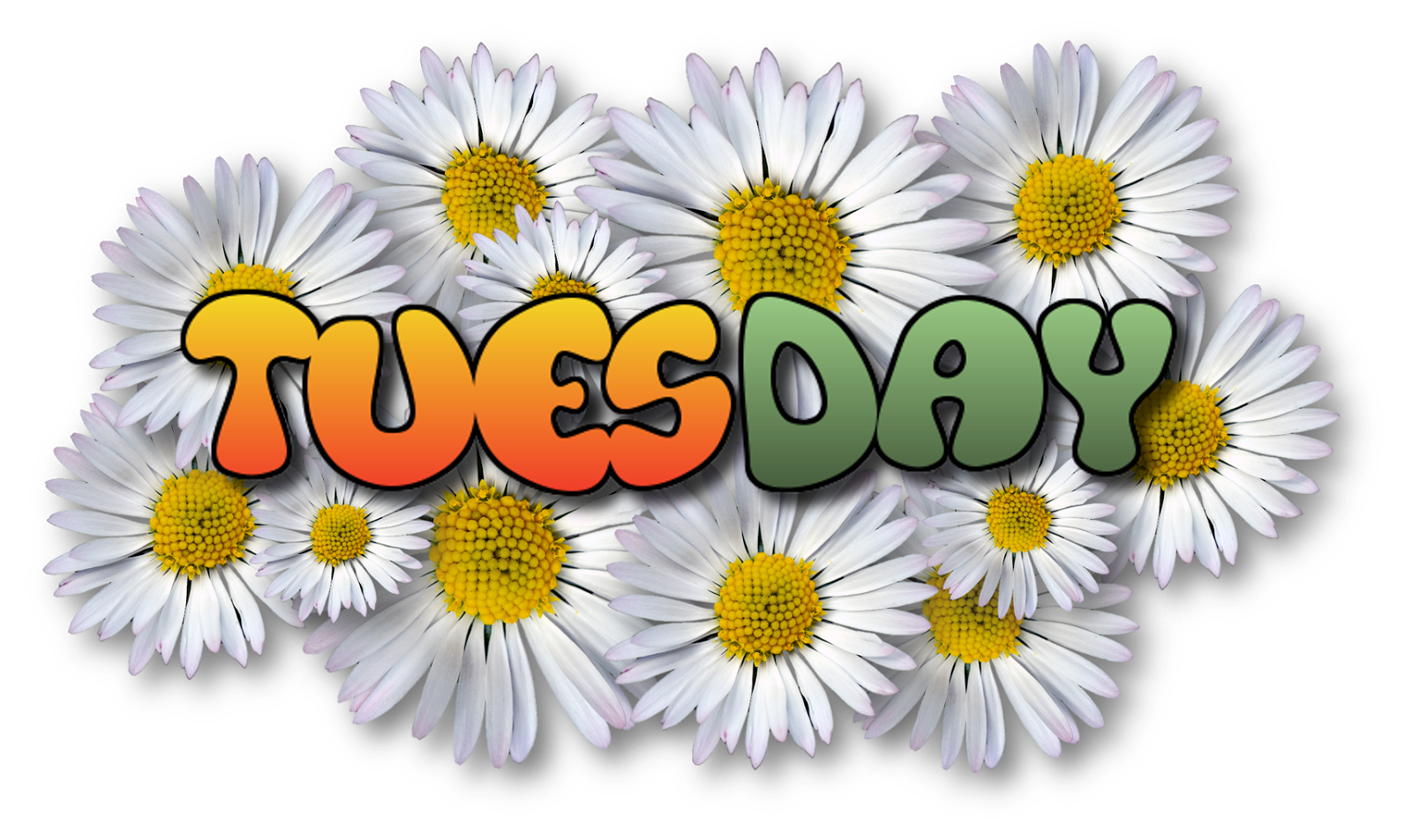 The Names Of The Days Of The Week TVanakku BBM