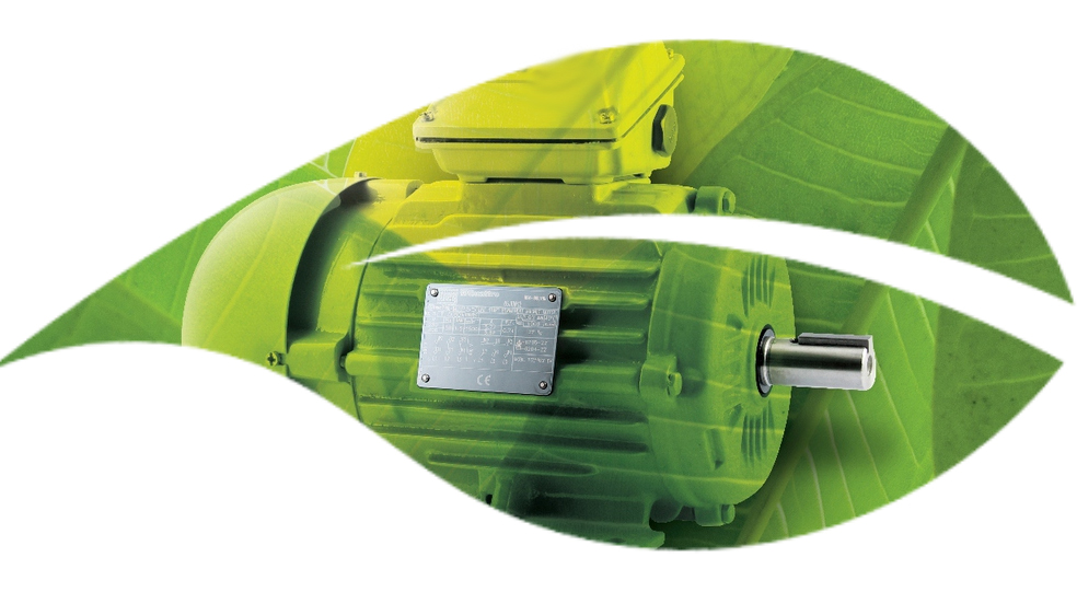 5 energysaving opportunities for electric motor users The Gibbons Group