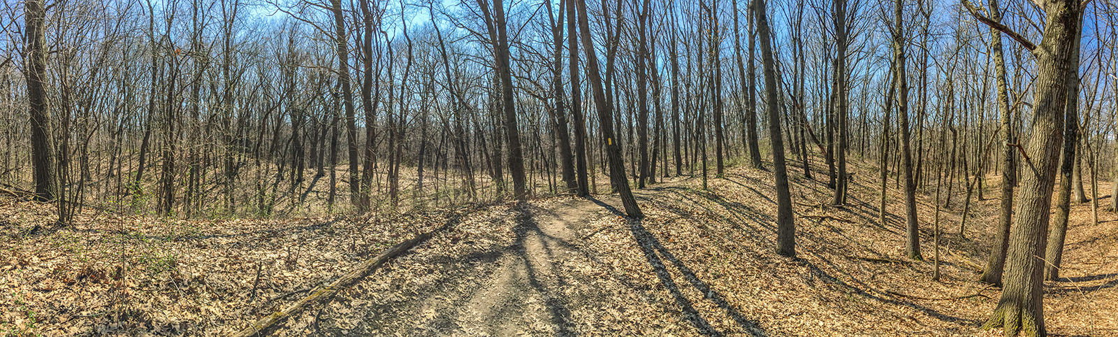 Along the Storrs Lake Segment of the Ice Age Trail