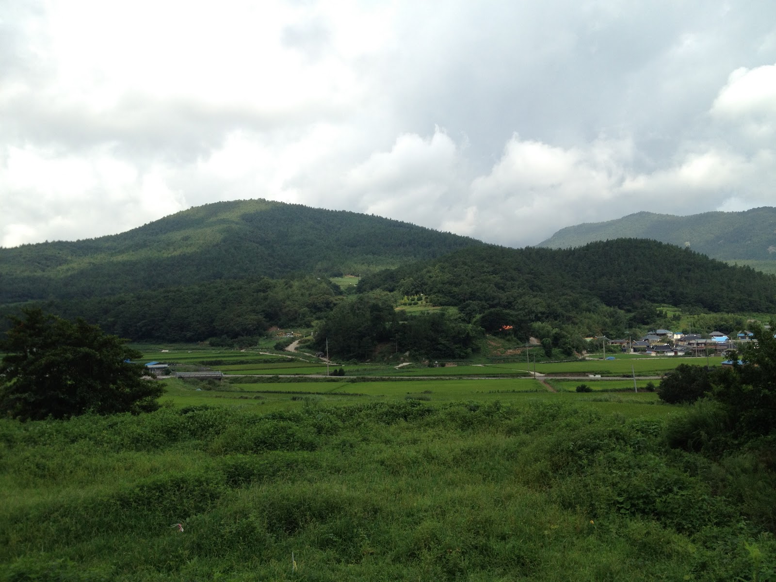 Thomas Hsu The Valley South Korea