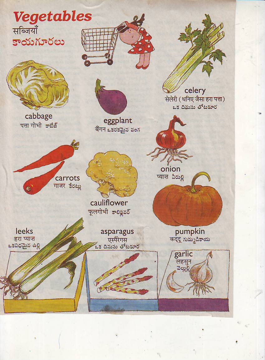 Nighantuvu Dictionary Vegetable Names With Pictures