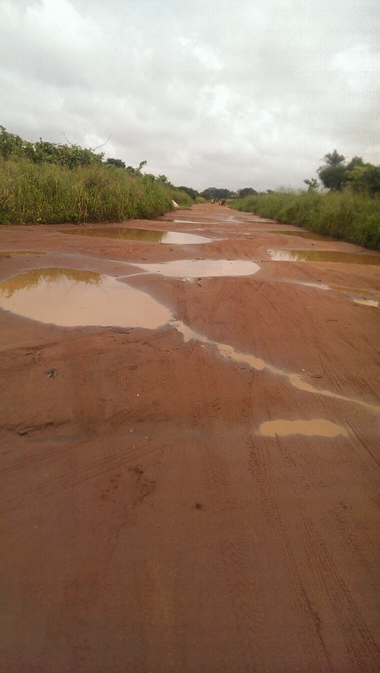 Government Acquired Land Abandoned In Owerri North Lga Imo State See Photos Innonews