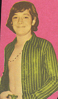 henesy david shadows dark collins 1960s beefcake gay late fanzine wall popular uncomfortable rather fake those colors shot fun background